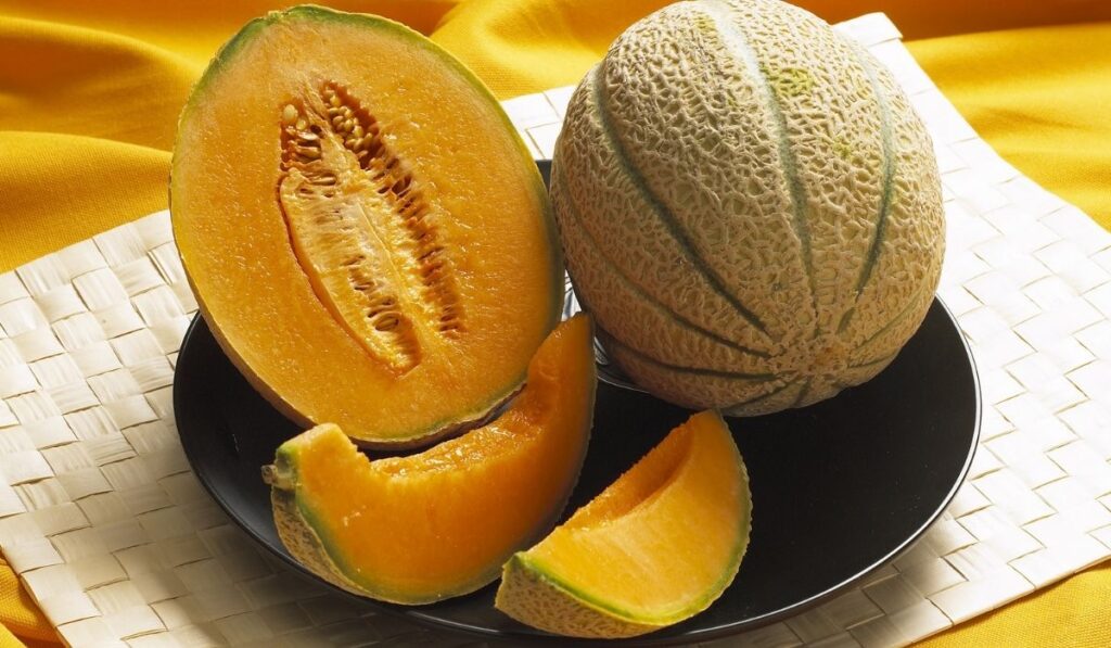 Cantaloupe melon