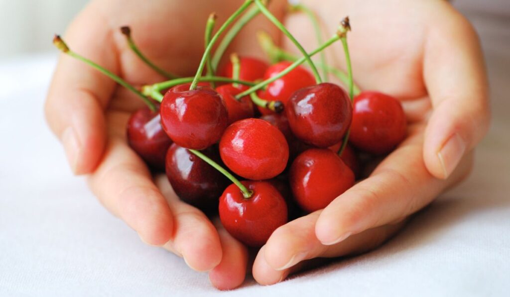 Cherries 