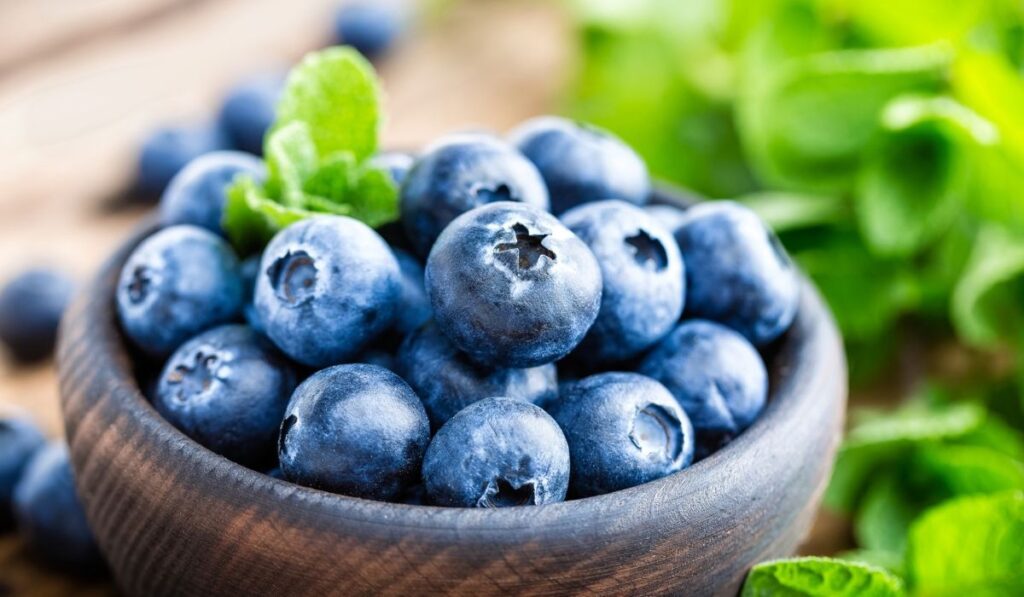 Fresh blueberries in bowl 