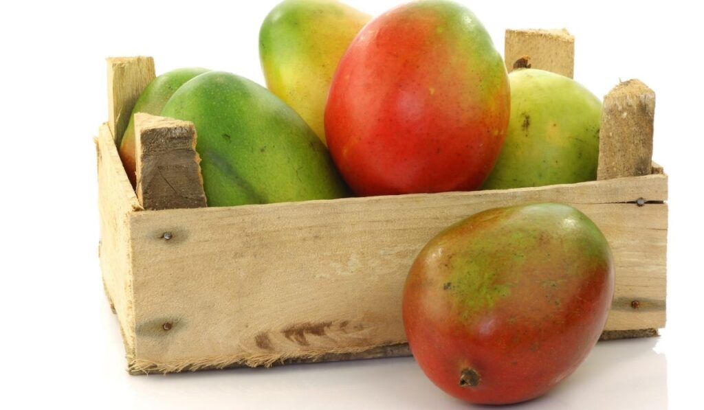Fresh mango fruit in a wooden box