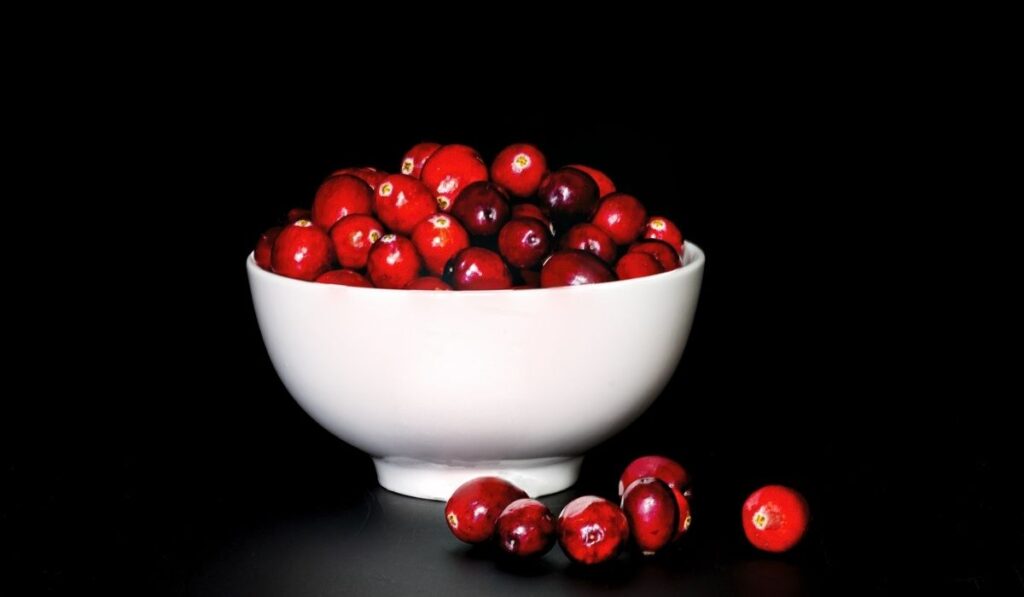 Low Key Cranberries in White Porcelain Bowl 