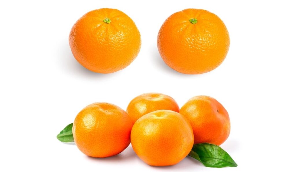 Mandarin, tangerine citrus fruit 