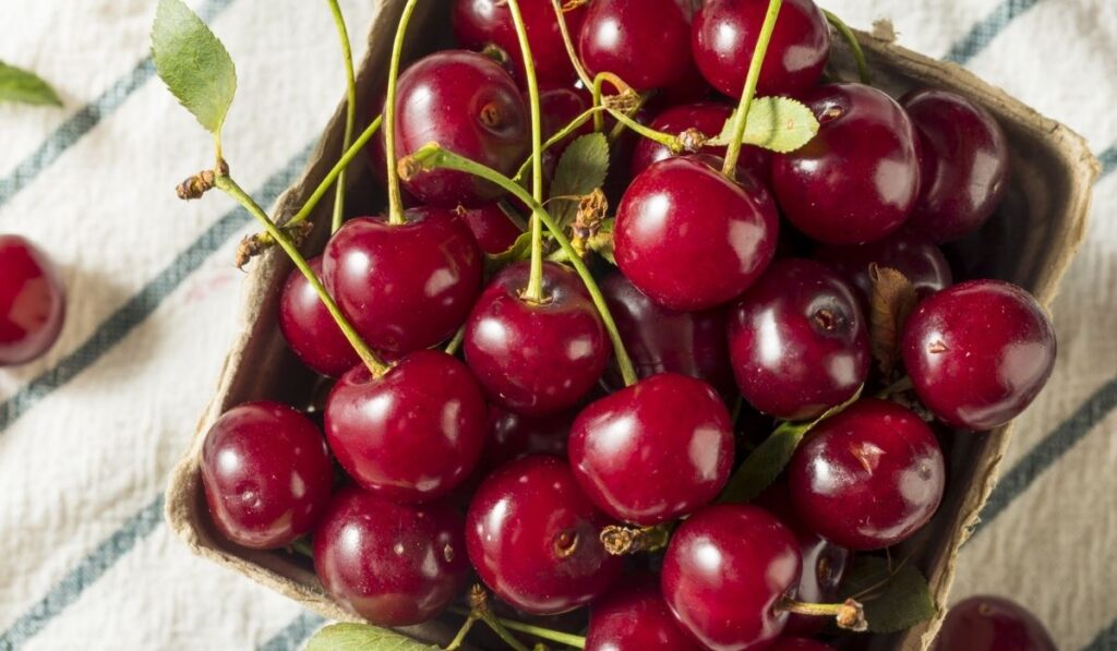 Raw Red Organic Tart Cherries 