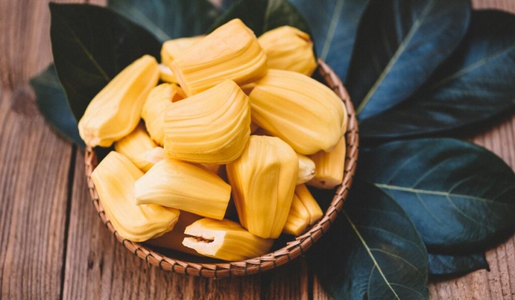 Ripe jackfruit peeled tropical fruit fresh from jackfruit tree