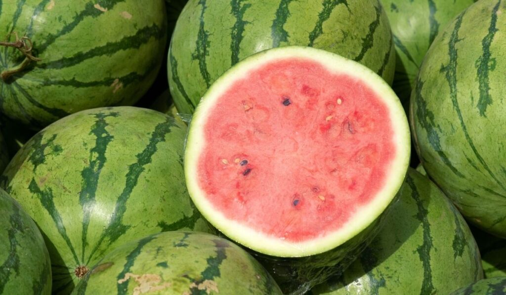 Watermelon