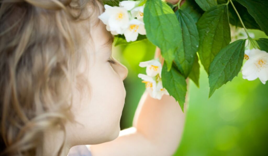 Child with jasmin flower 