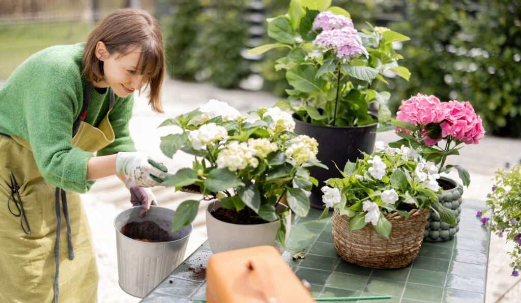 Woman planting flowers into pots on table in garden