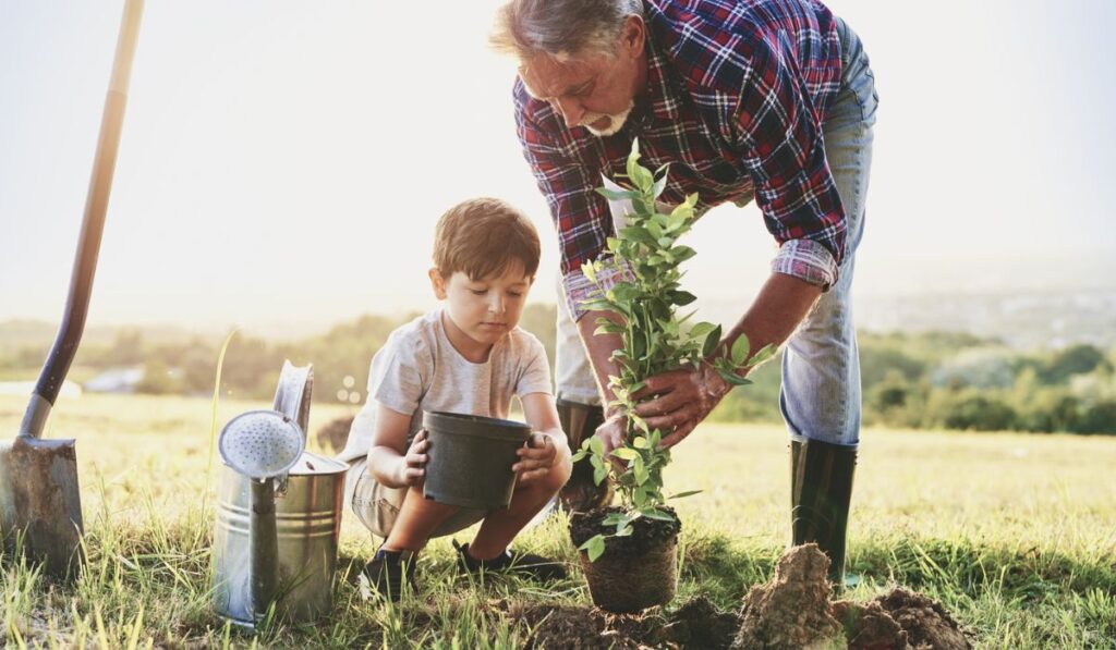 Grandfather and grandson planting a tree