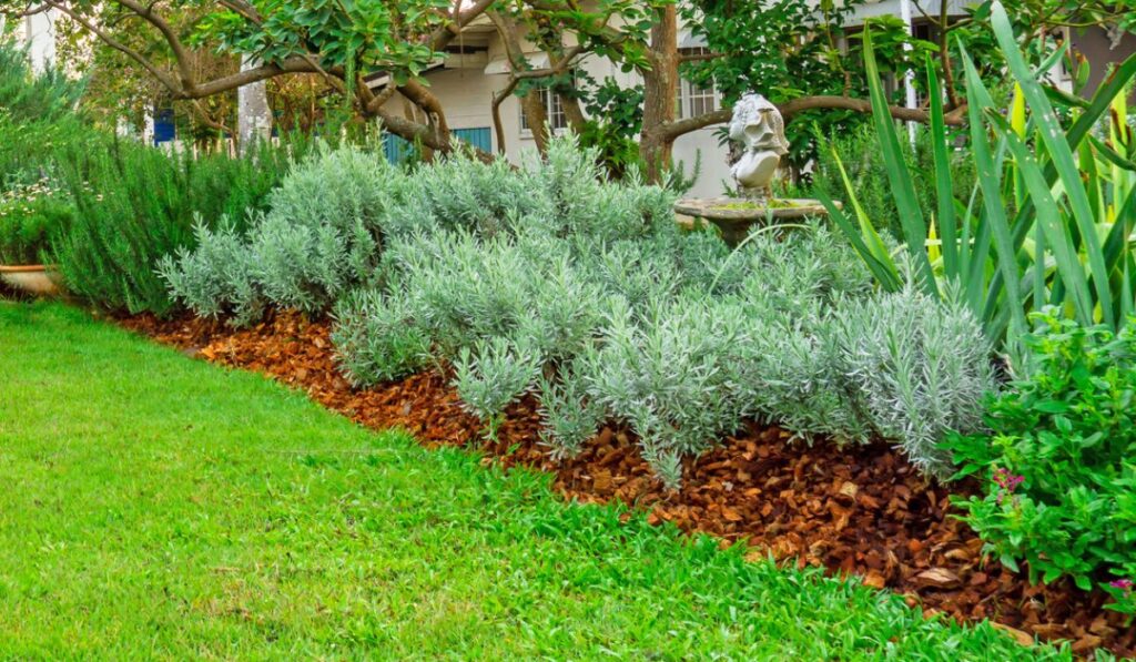 English cottage garden on green grass lawn backyard in a house