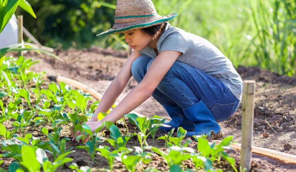 young woman planting vegetable