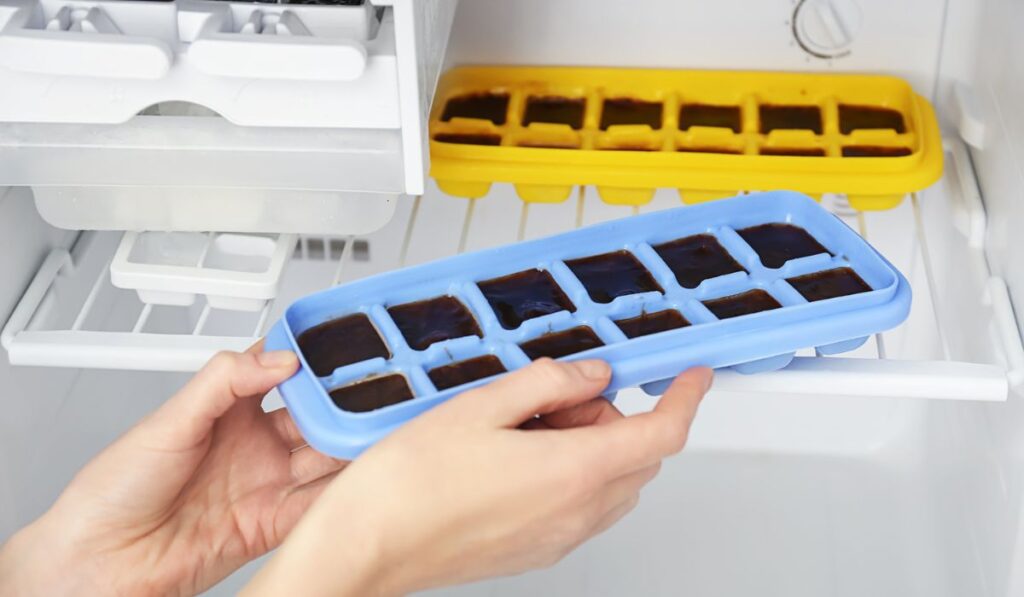 Woman taking tray with coffee ice cubes out of fridge