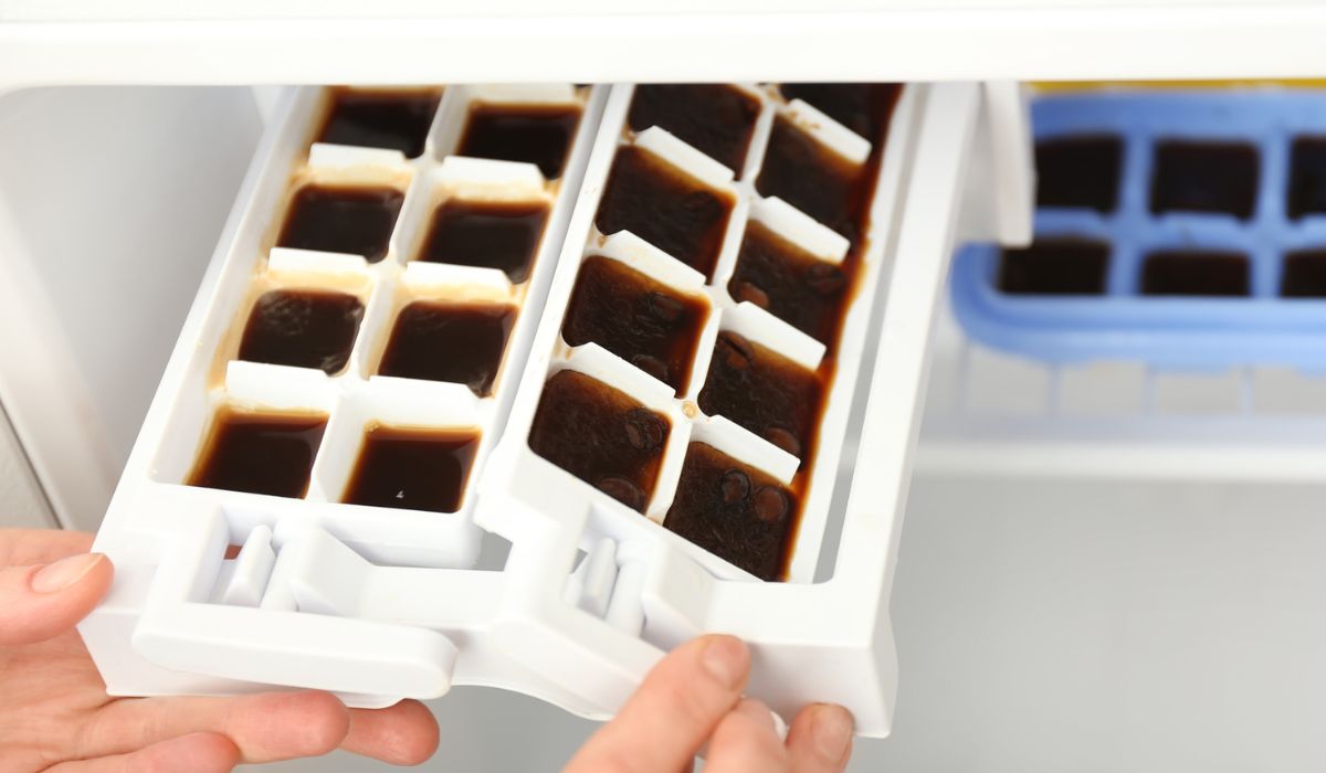 Woman taking trays with coffee ice cubes out of fridge